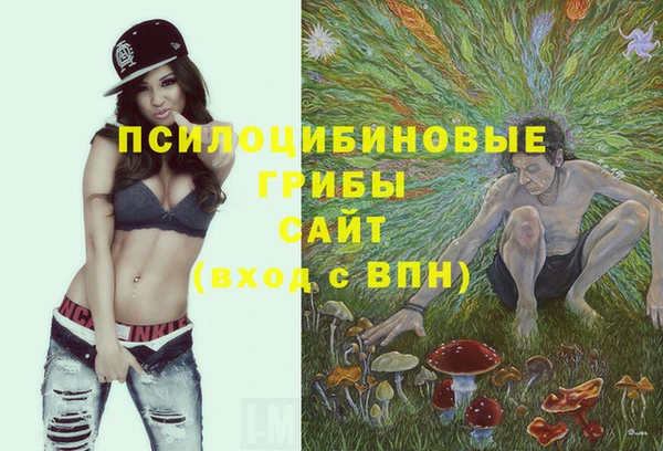 прущая мука Белокуриха