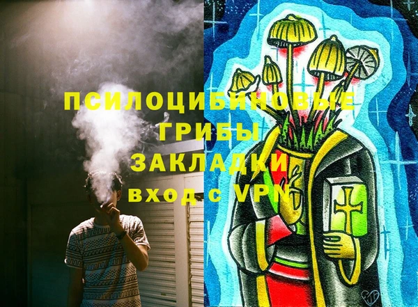 прущая мука Белокуриха